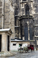 Naklejka na ściany i meble Vienne cathédrale