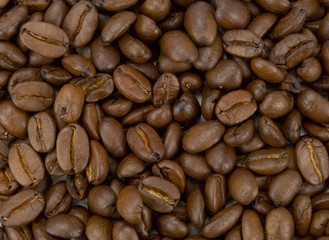 Kaffeebohnen