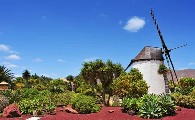 Gordijnen windmolen in Antigua, Fuerteventura, Canarische Eilanden, Spanje © nito