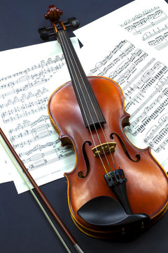 violino