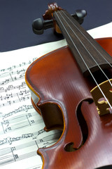 Fototapeta premium violino