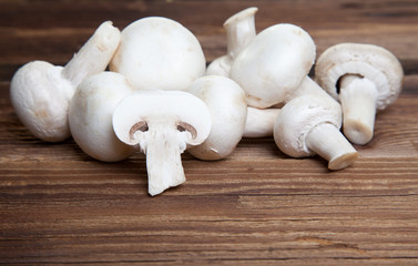 Champignons auf Holz III