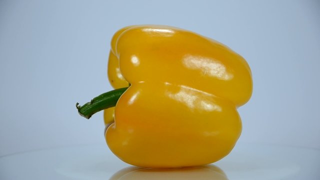 Paprika