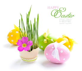 Easter eggs and green sprouts on a white background