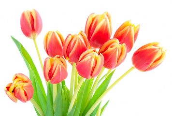 Bouquet of tulips isolated on white