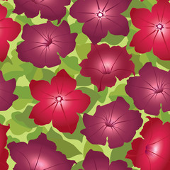 Fototapeta na wymiar floral seamless pattern. red and purple flowers background
