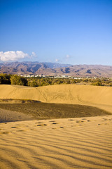 Desert "Dunas de Maspalomas" in Gran Canaria island,Spain