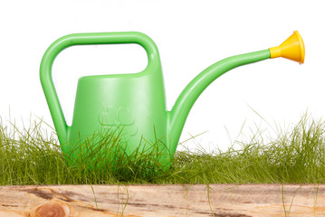 Obraz premium watering can, tools and flowers