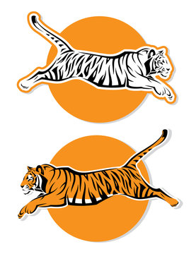 Tiger signs