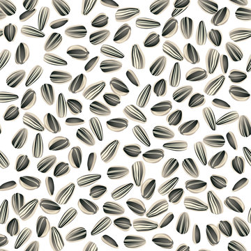 sunflower seeds seamless background