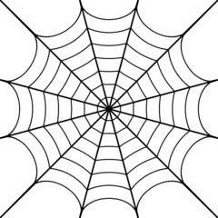 Vector illustration of cobweb