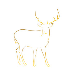 Deer Vector