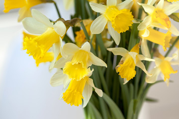 Jonquilles, fleur, printemps, bouquet, jaune, décoratif