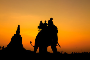 Fototapeta na wymiar silhouette of elephants in Ayutthaya thailand.