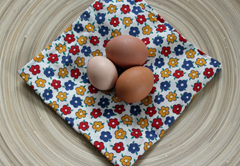 Eier