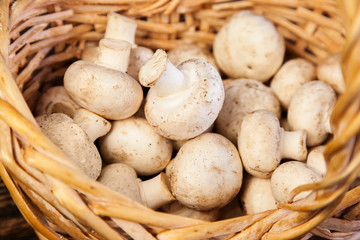 Fresh vegetables on a wooden table