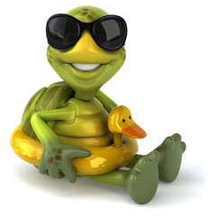 Fun turtle
