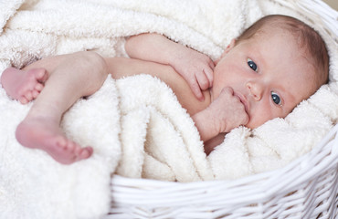 baby boy lying in basket