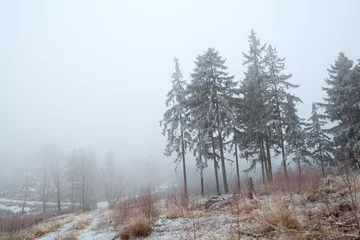  sneeuw en mist in de Harz © Olha Rohulya