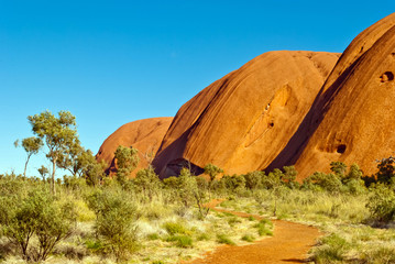 Wild nature in the Australian outback
