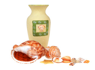 Seashells, starfish and vase isolated on white