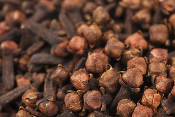 Cloves
