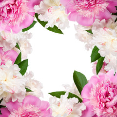 Pink and white peonies frame with copy space