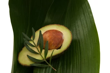 Tapeten Avocado and leaf © dkidpix