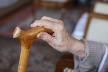 hand of a senior person on cane - obrazy, fototapety, plakaty