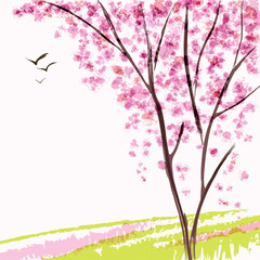 Spring blooming tree - 49952307