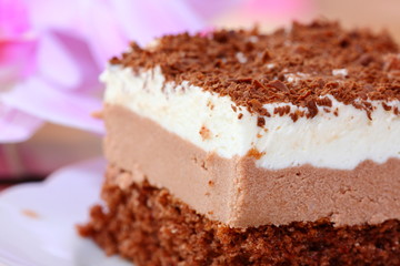 piece of chocolate cake