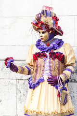 Fototapeta na wymiar Carnaval vénitien déguisement