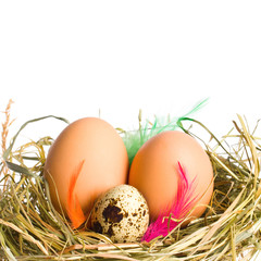 Easter Eggs with feathers .