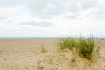 Fototapeta na wymiar Pusta plaża w Holandii