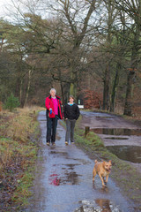 Man and boy walking with dog