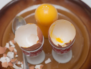 Eggshells left after breakfast