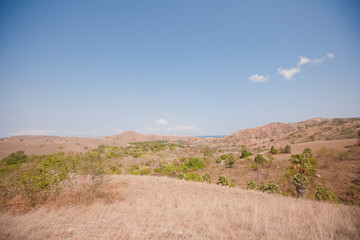 Panorama of Rinca island