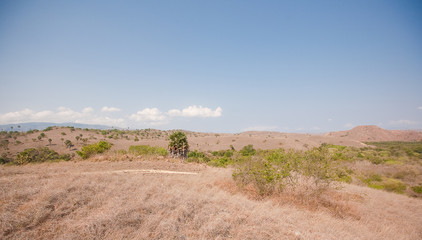 Panorama of Rinca island