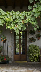 Fototapeta na wymiar wejście winorośli drzwi ogród