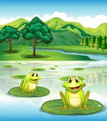 Poster Twee kikkers boven de waterlelies © GraphicsRF
