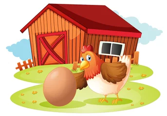 Vlies Fototapete Bauernhof Eine Henne mit Ei