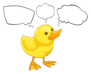 A baby duck with empty callouts
