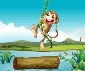 Rolgordijnen Een slingerende aap © GraphicsRF
