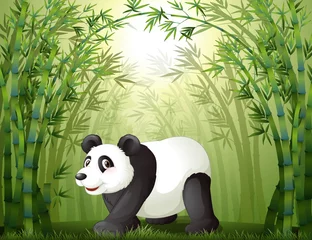  Bamboebomen met een panda in het midden © GraphicsRF
