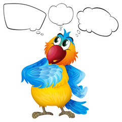 Empty callouts with a colorful bird