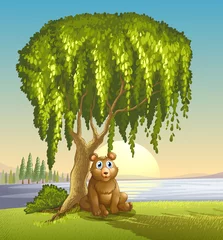 Gordijnen Een beer onder een grote boom © GraphicsRF