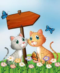Fotobehang Katten Twee katten voor een leeg houten pijlbord