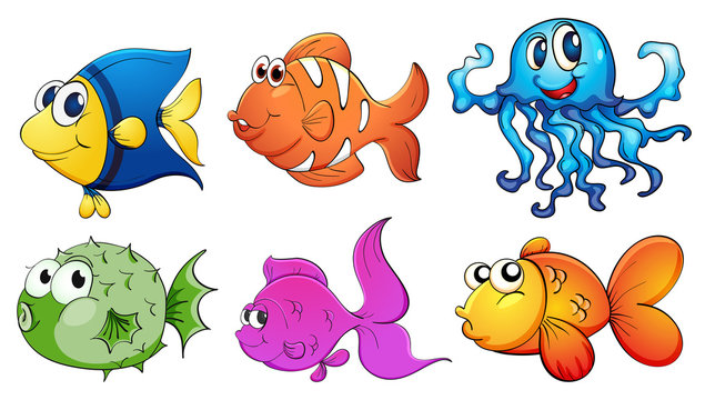 Five different kinds of sea creatures
