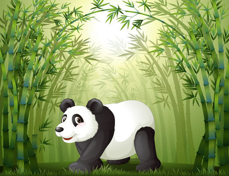 Bamboo trees with a panda at the center