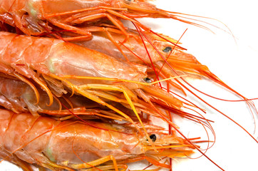 Gambones Photos Royalty Free Images Graphics Vectors Videos